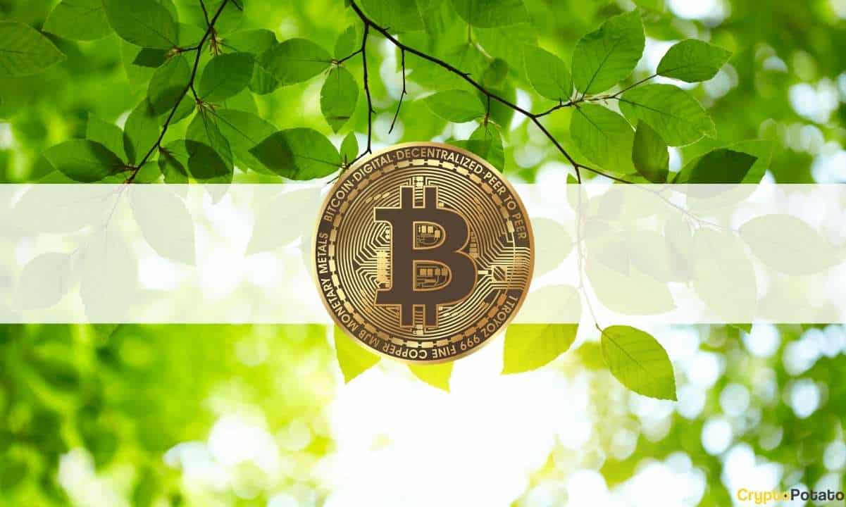 Bitcoin-rebounds-$6k-after-bloody-weekend:-altcoins-deep-in-green-(market-watch)