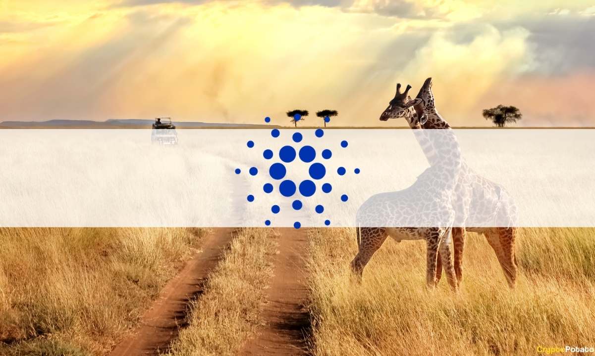 Cardano-announced-second-major-partnership-in-africa