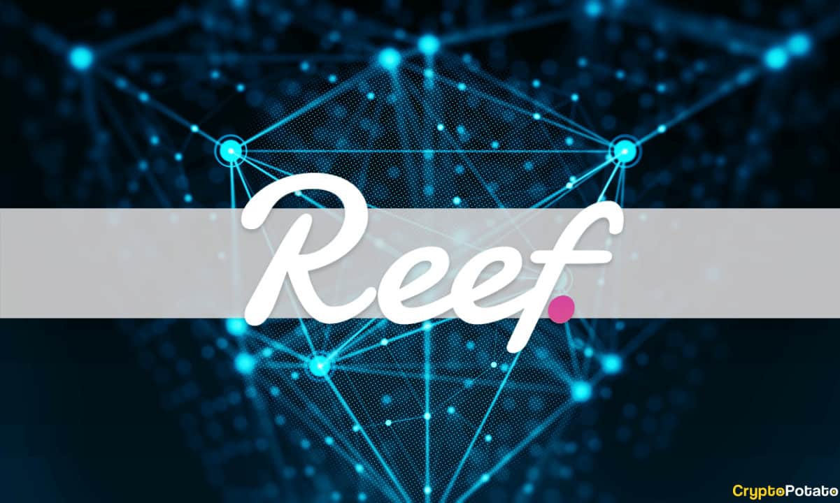 Reef-finance-launches-its-ido-platform-called-reefstarter