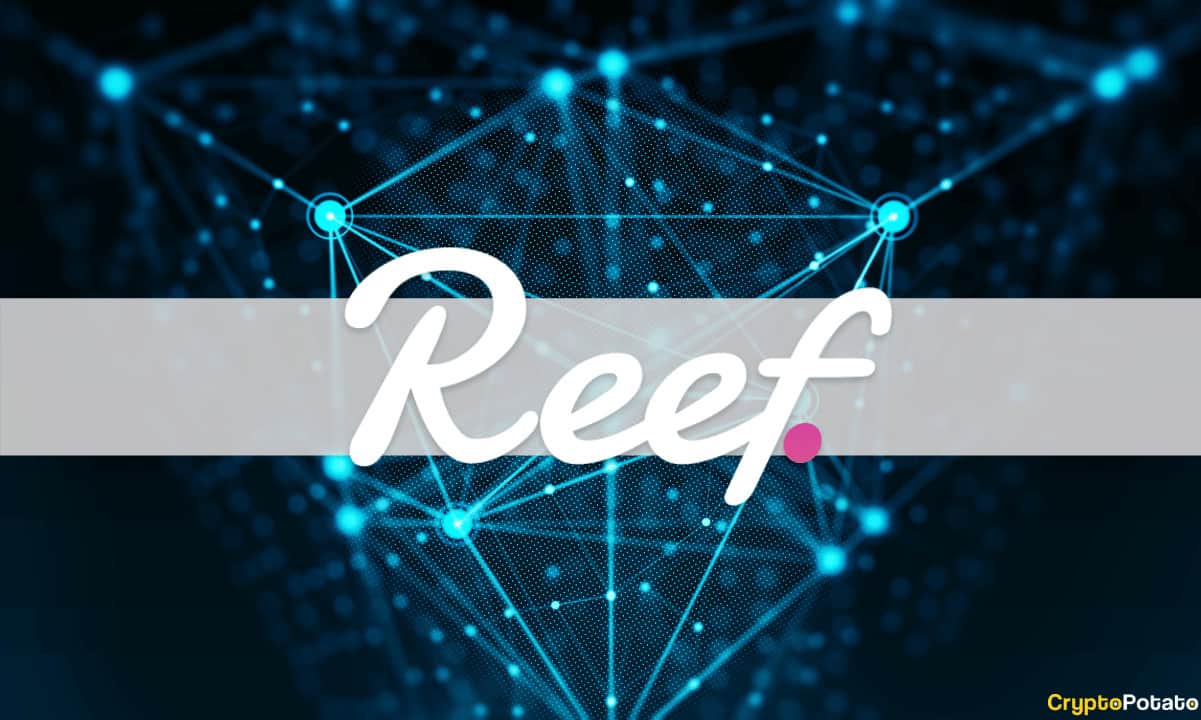 Reef-finance-launches-its-ido-platform-called-reefstarter