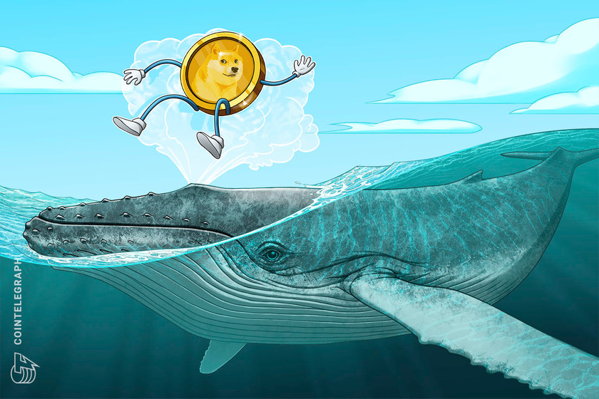 Only-whales-move-doge:-data-suggests-major-dogecoin-wealth-gap