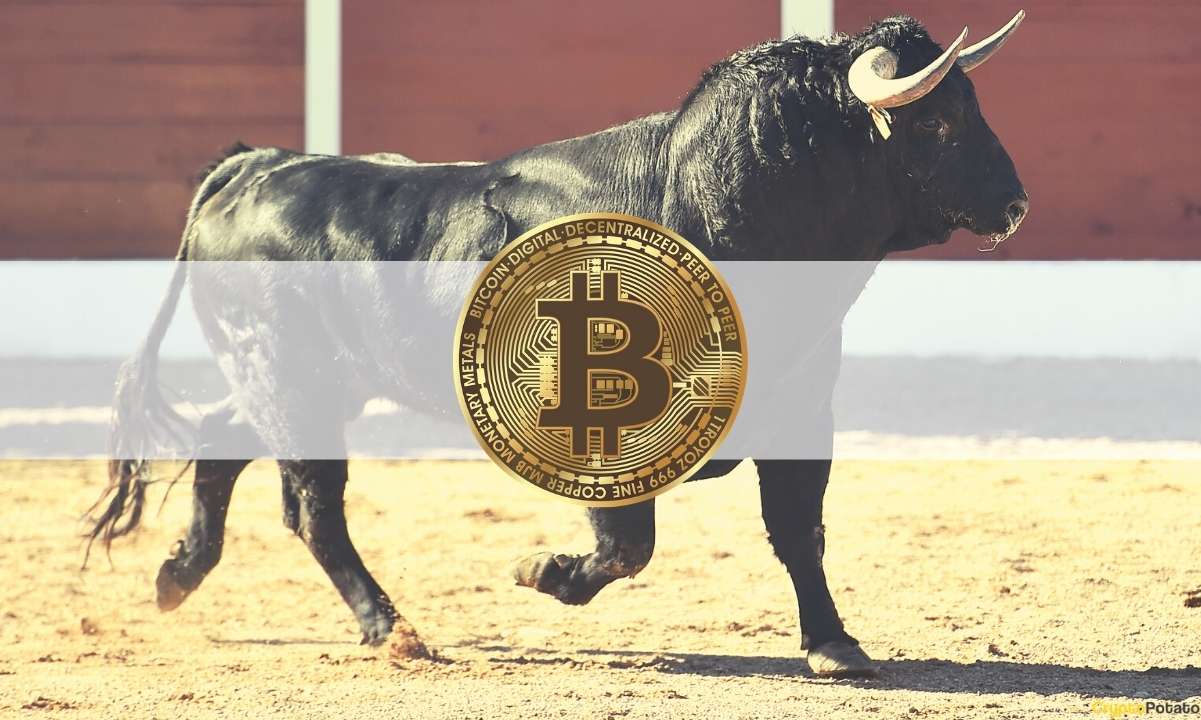 Bitcoin-price-ready-for-another-leg-up-according-to-on-chain-metrics:-analyst