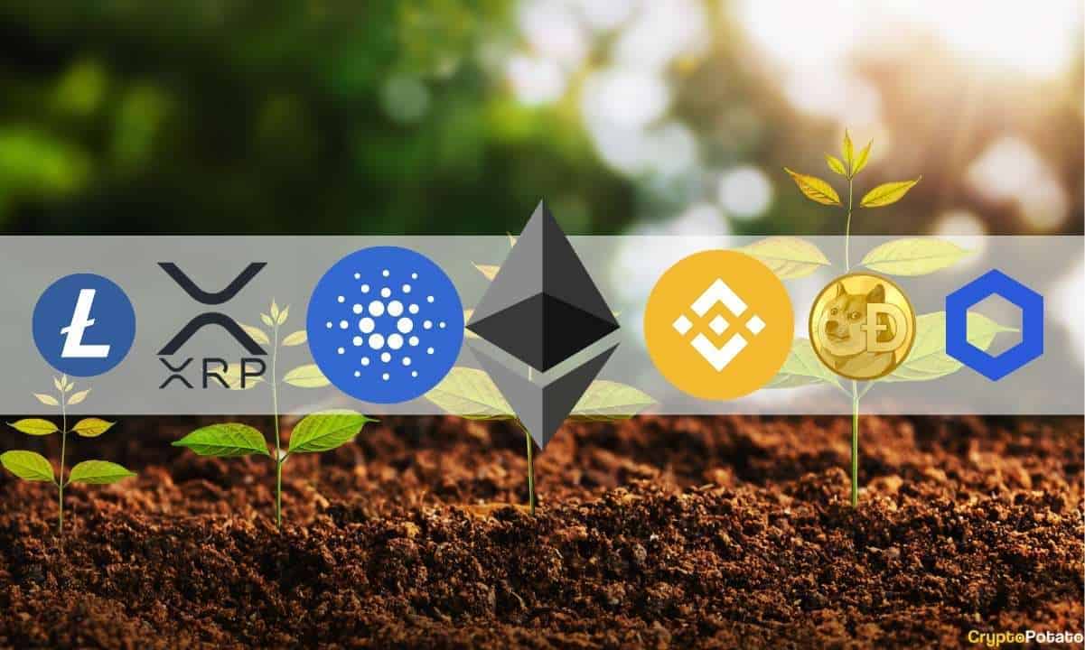Crypto-market-cap-added-$300b-in-7-days-as-altcoins-explode:-the-weekly-recap