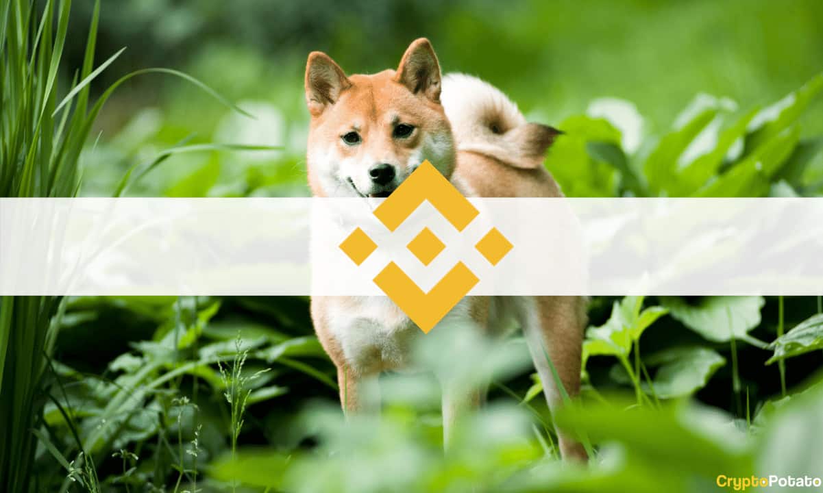 Binance-to-list-doge-inspired-shiba-inu:-shib-spikes-70%-immediately-to-new-ath