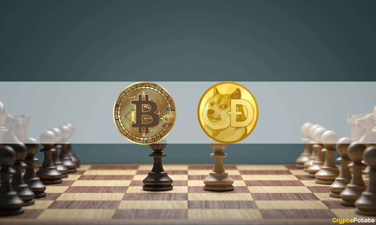 Doge-clones-like-shib-attracting-‘dumb-money’-is-why-bitcoin-goes-down:-analyst