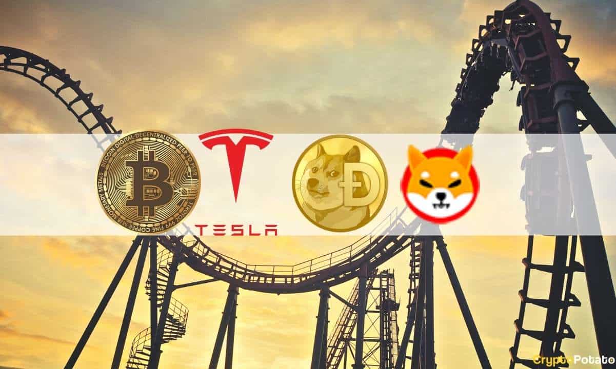 Shiba-inu-(shib)-mania,-dogecoin,-tesla’s-bitcoin-halt-and-crypto-market-volatility:-the-weekly-recap