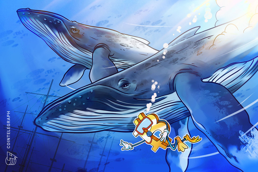As-bitcoin-price-staggers,-‘whale’-wallets-may-be-becoming-an-endangered-species