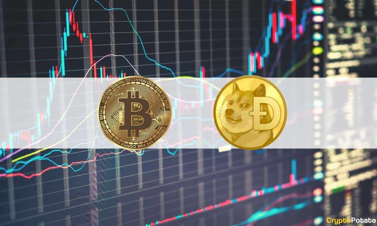 Bitcoin-proponents-against-elon-musk-following-heated-dogecoin-vs-bitcoin-tweets