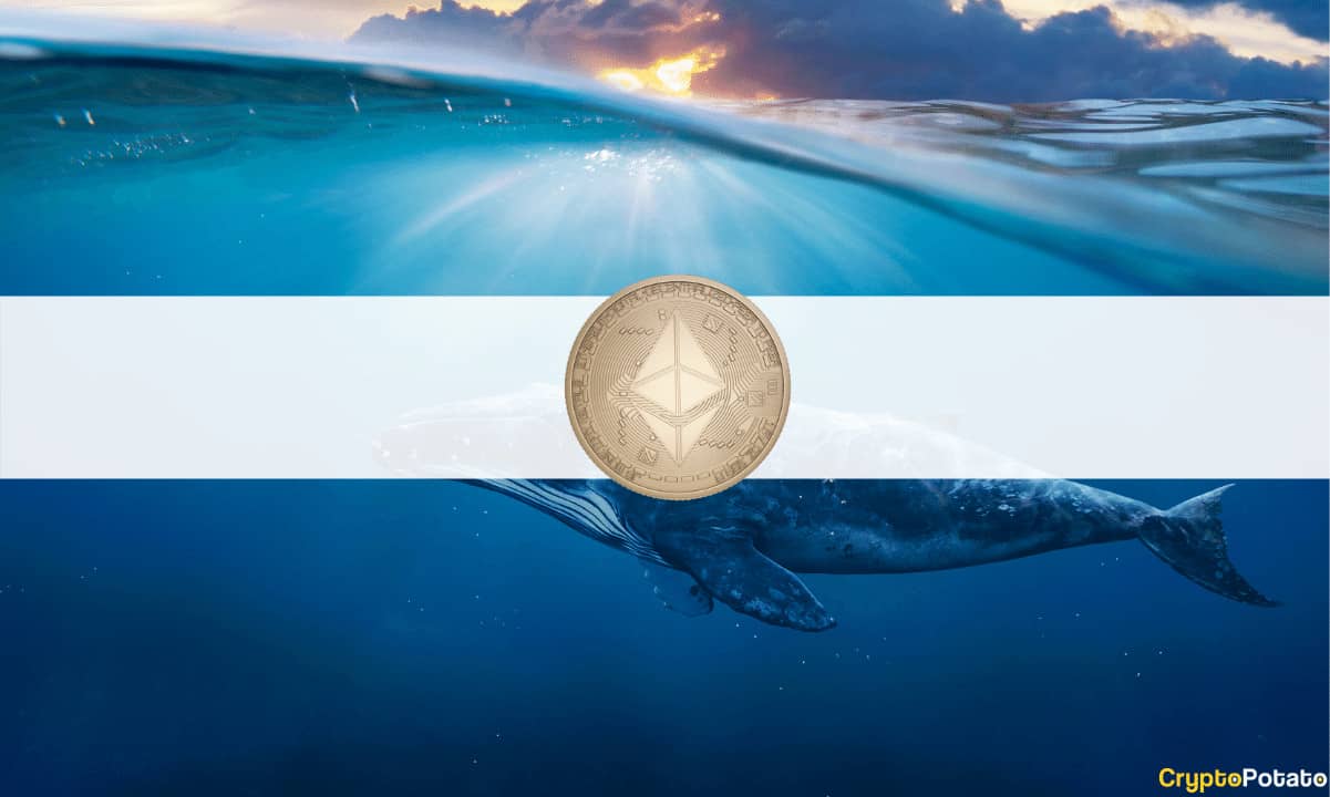 Ethereum-whales-refuse-to-sell-despite-eth’s-plunge-to-$3,100