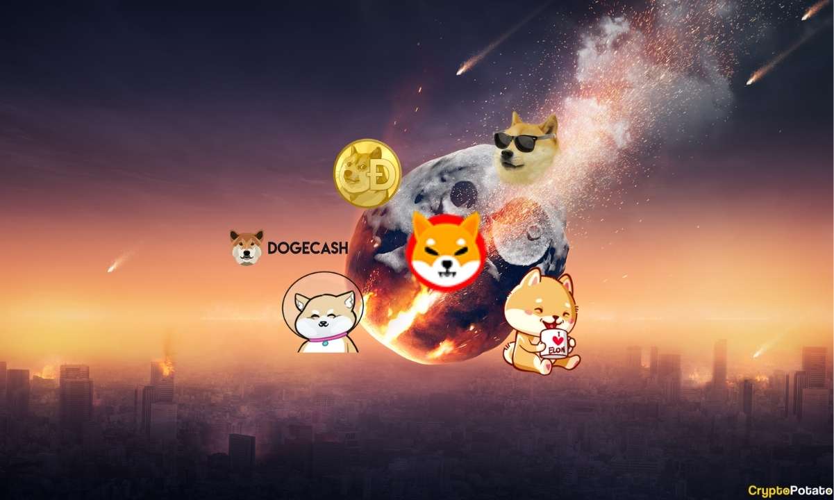 Dogecoin-copycats-including-shib-tumble-over-70%-since-ath:-here-is-what-can-be-learnt