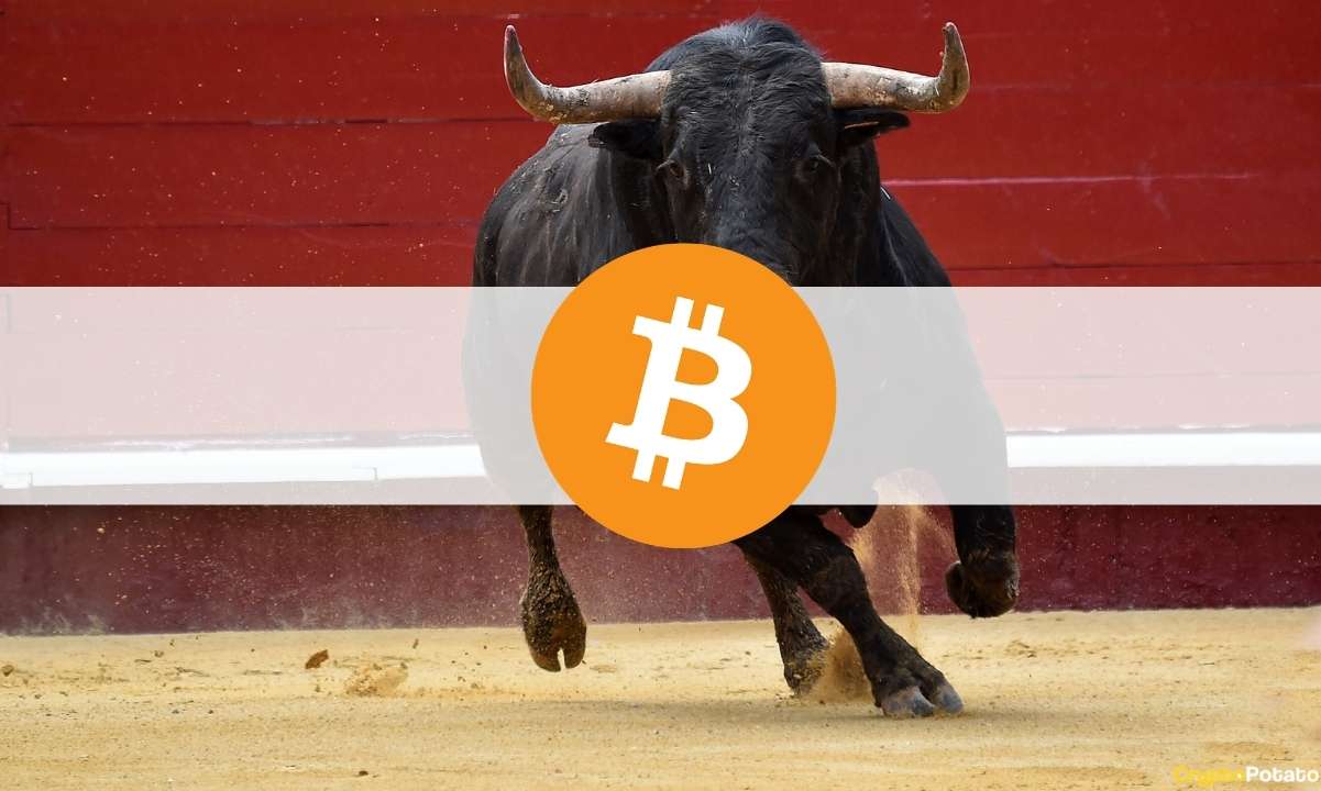 Bullish-for-bitcoin?-miners-and-hodlers-refuse-to-sell-as-stablecoin-supply-ratio-at-lowest