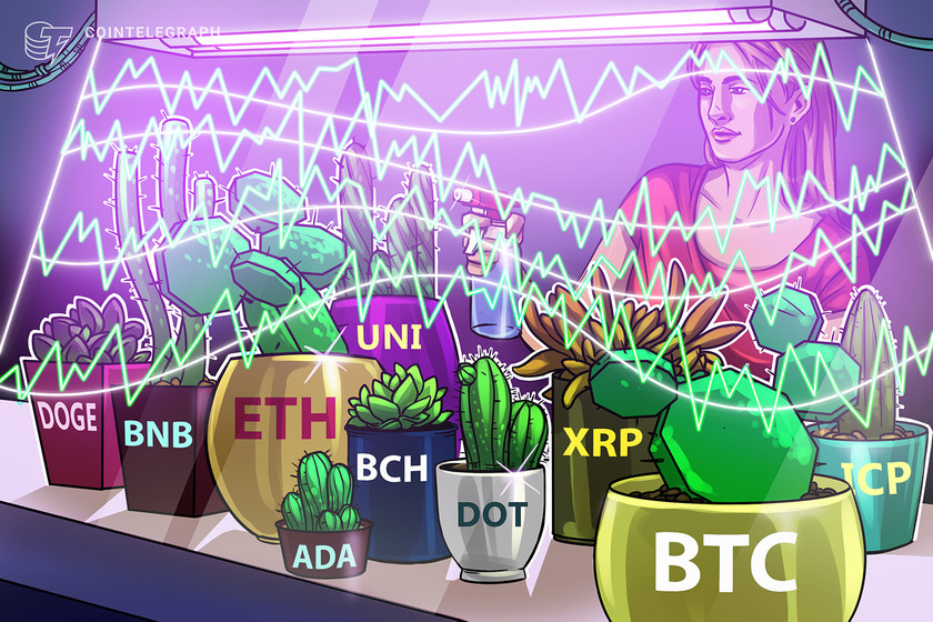 Price-analysis-6/7:-btc,-eth,-bnb,-ada,-doge,-xrp,-dot,-uni,-icp,-bch