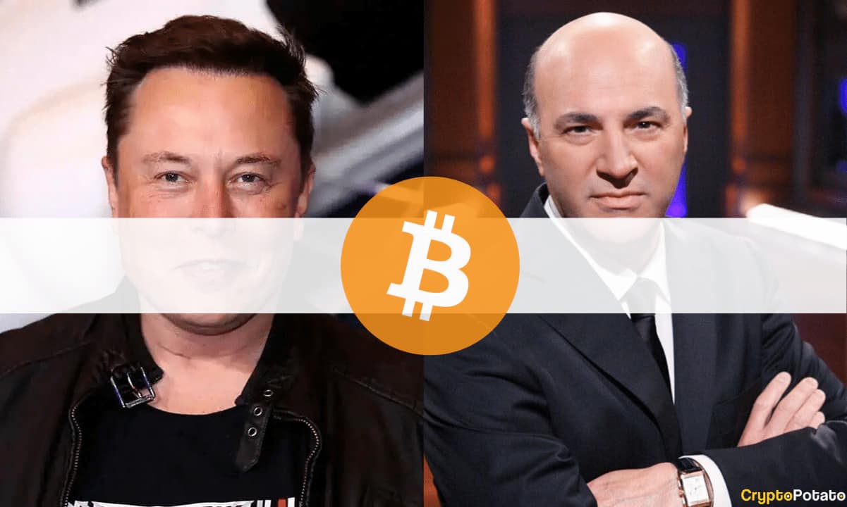 Elon-musk-was-pressured-by-tesla’s-shareholders-to-drop-bitcoin-payments,-says-kevin-o’leary