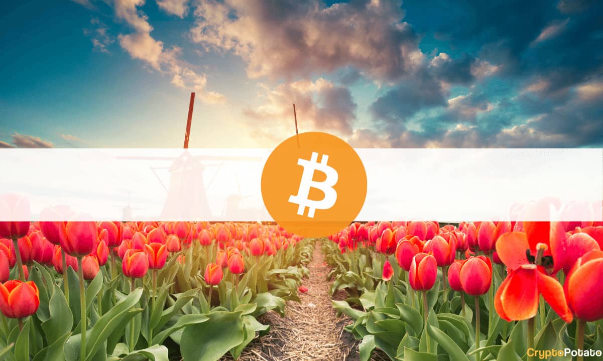 The-netherlands-must-ban-bitcoin-ahead-of-price-crash,-says-a-dutch-official