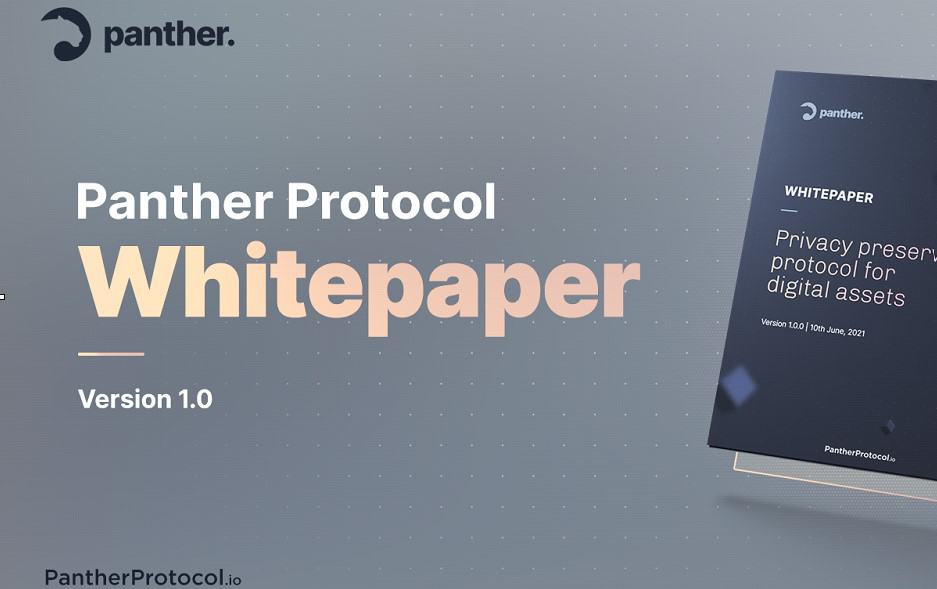 Panther-protocol-releases-whitepaper-for-an-end-to-end-defi-privacy-solution