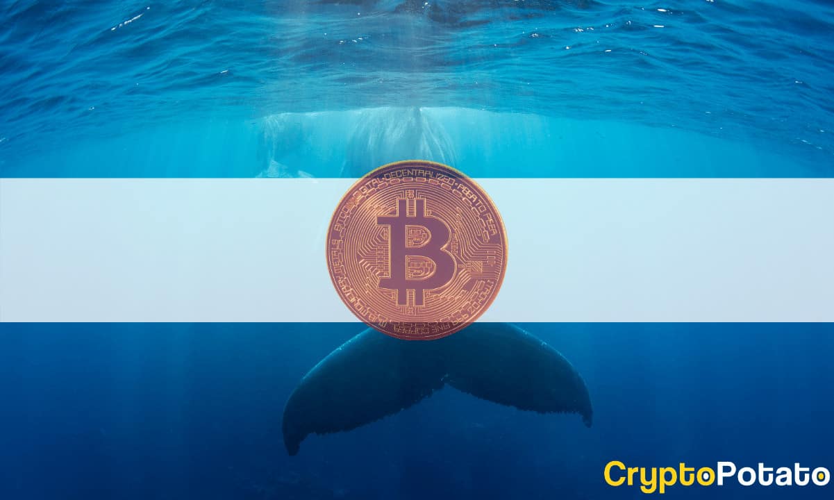 Following-the-dump-below-$30k-bitcoin-whales-accumulating:-analysis