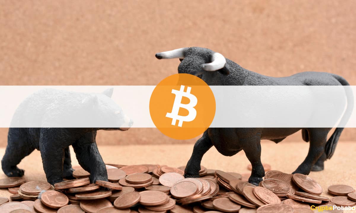 After-bitcoin-dipped-below-$30k:-is-bear-market-confirmed?-industry-experts-weigh-in