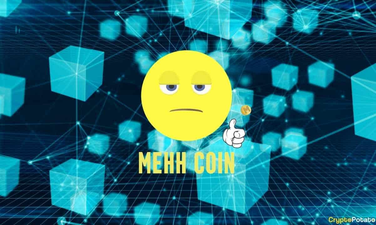 Mehh-token-offering-scalable-digital-payment-solution-to-merchants