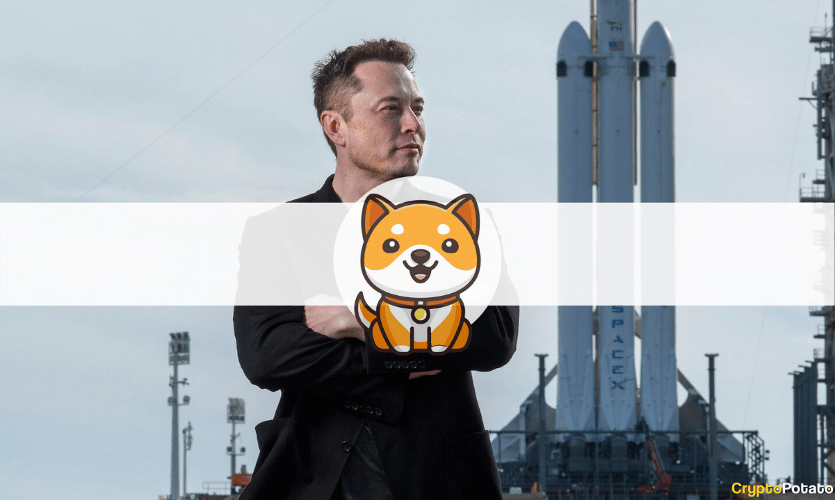 New-baby-doge-skyrockets-90%-following-elon-musk’s-latest-tweets