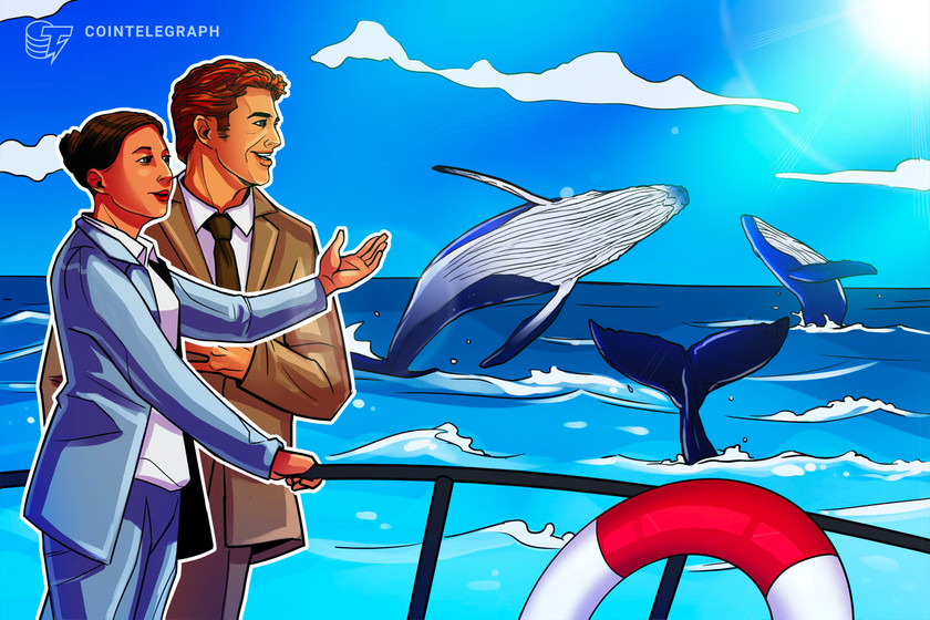 New-bitcoin-entities-near-all-time-high-as-analyst-heralds-‘positive-whale-activity’