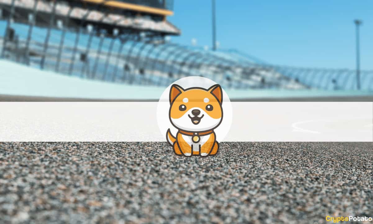 Baby-doge-coin-will-appear-on-nascar-xfinity-series