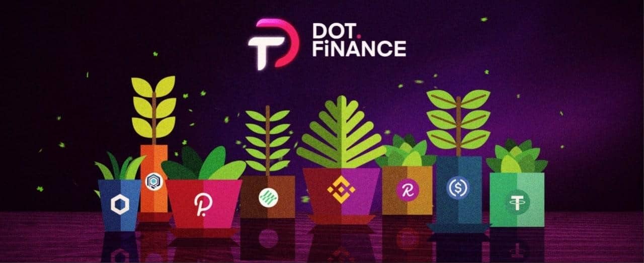 Dotfinance-gets-listed-on-mxc-as-team-announces-new-maximizers-and-staking-pool