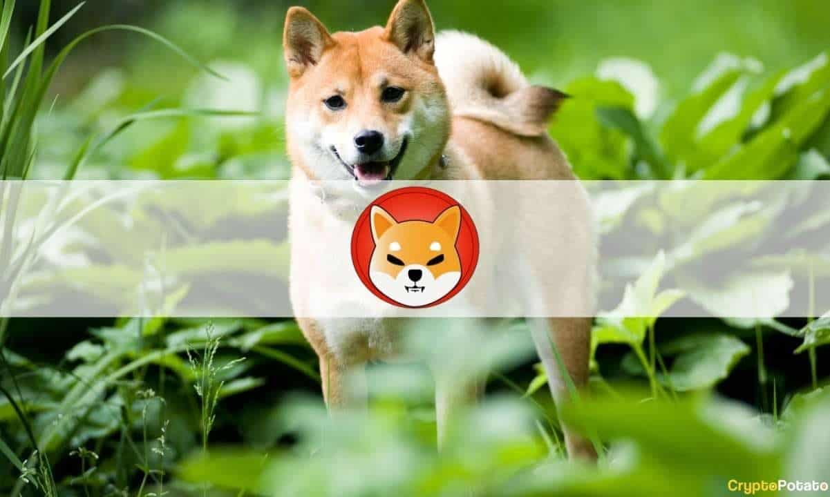 Cashing-out-buterin’s-$1b-shib-donation-isn’t-easy,-says-covid-crypto-fund’s-creator