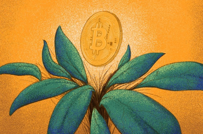 Genesis-digital-assets-raises-$125-million-to-expand-bitcoin-mining-operations