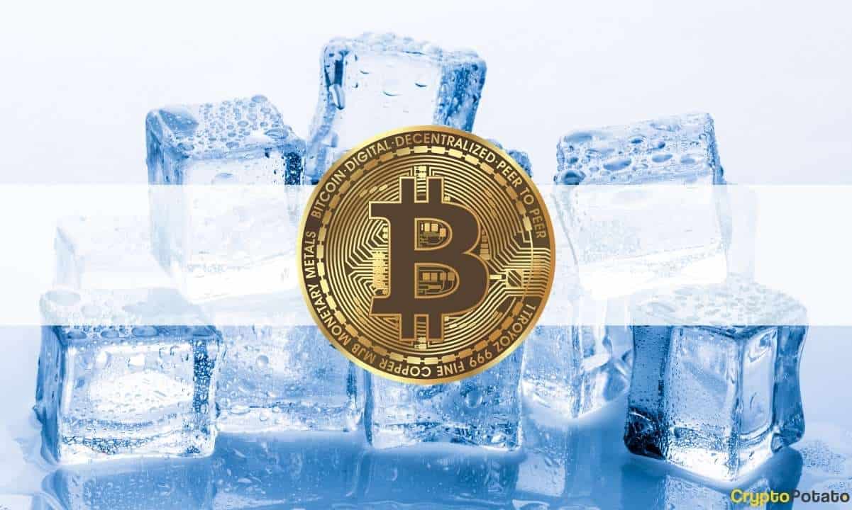 Bitcoin-cools-off-amid-$40k:-rune-recovers-35%-despite-the-recent-hack-(market-watch)