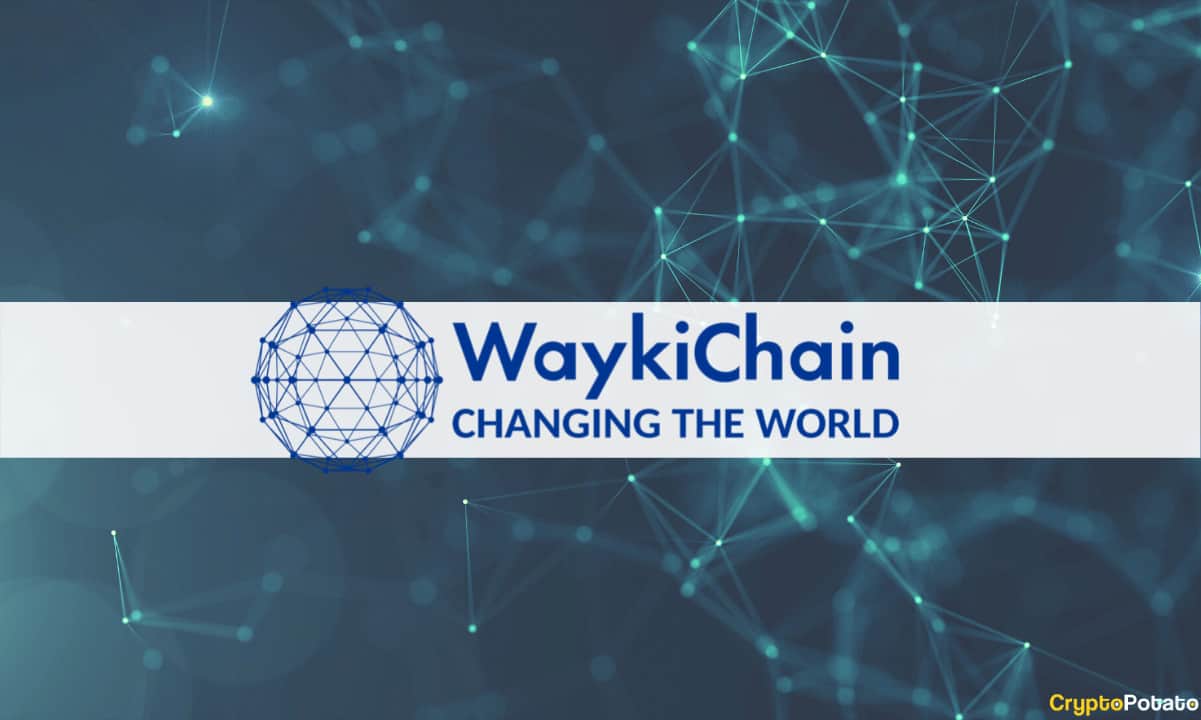 Waykichain-foundation-announced-its-equity-dividends-from-beekuaibao-investment
