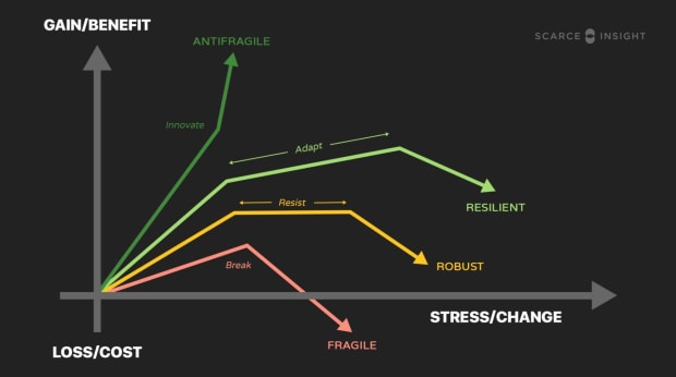 How-antifragility-increases-bitcoin’s-survivability