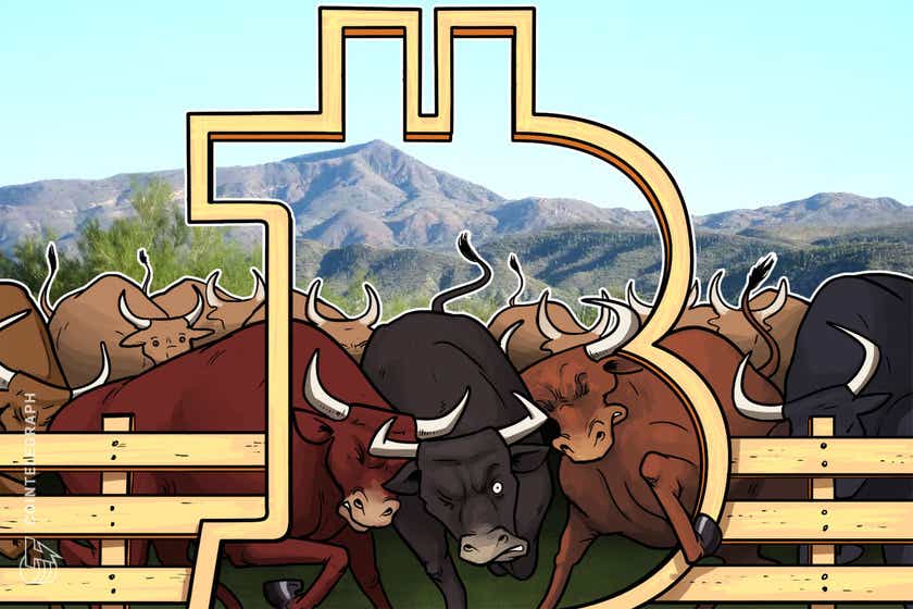 Long-term-bitcoin-bulls-hodl-strong-despite-five-month-price-high