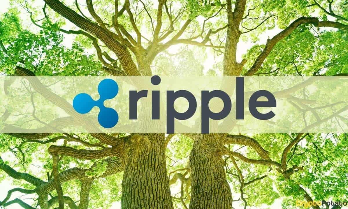 Ripple-and-nelnet-to-invest-$44m-aimed-at-carbon-neutrality