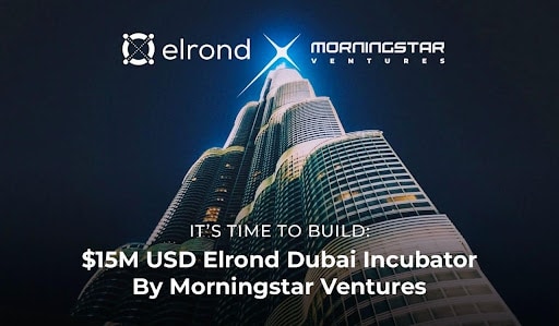 Morningstar-ventures-invests-$15m-in-projects-building-on-elrond-network