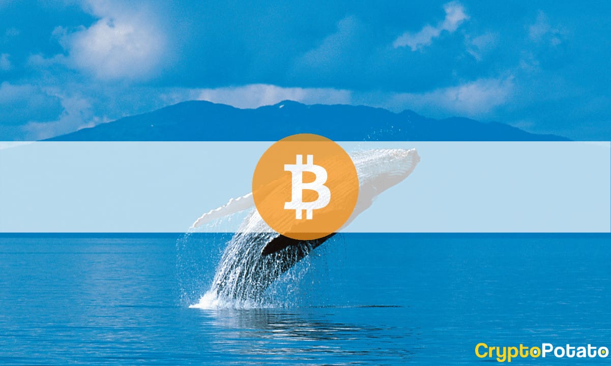 Third-largest-bitcoin-whale-sold-at-$56k-and-bought-back-at-$57k-a-day-later