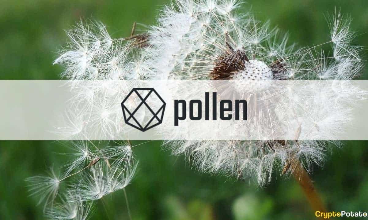 Pollen-defi:-democratizing-investments-in-decentralized-finance