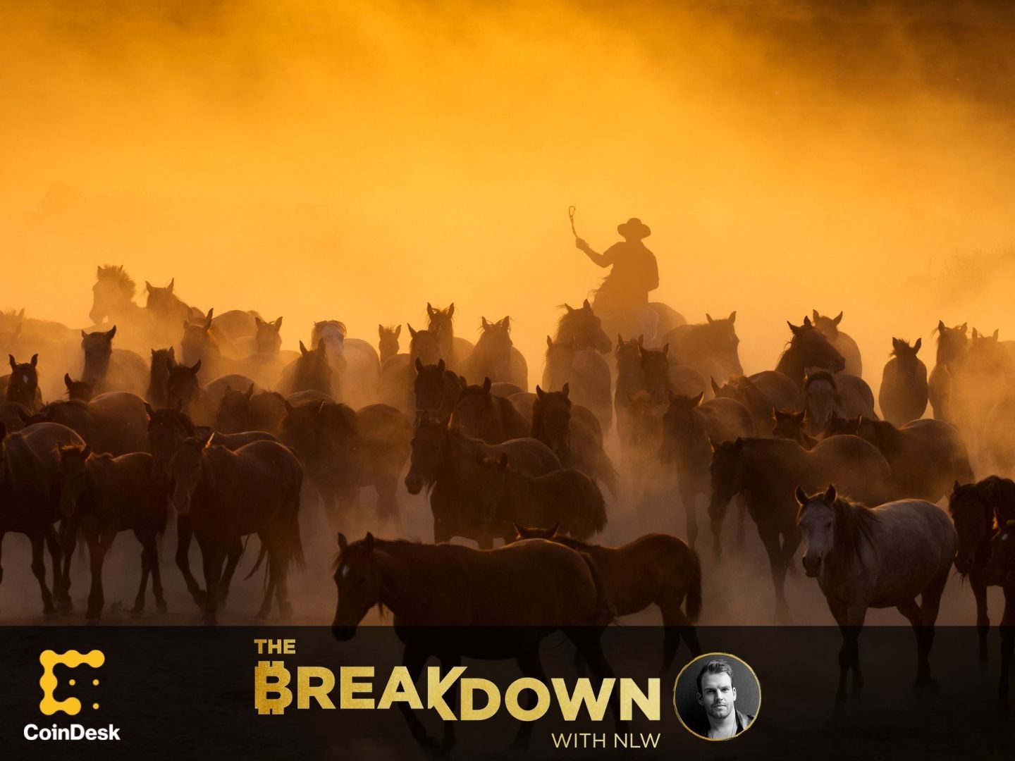 Hester-peirce-reclaims-the-‘wild-west’-for-the-crypto-industry