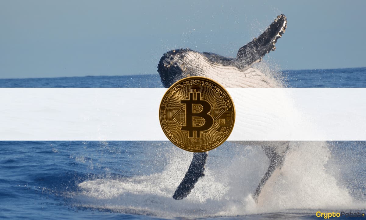 Back-again:-third-largest-bitcoin-whale-bought-$37-million-in-btc