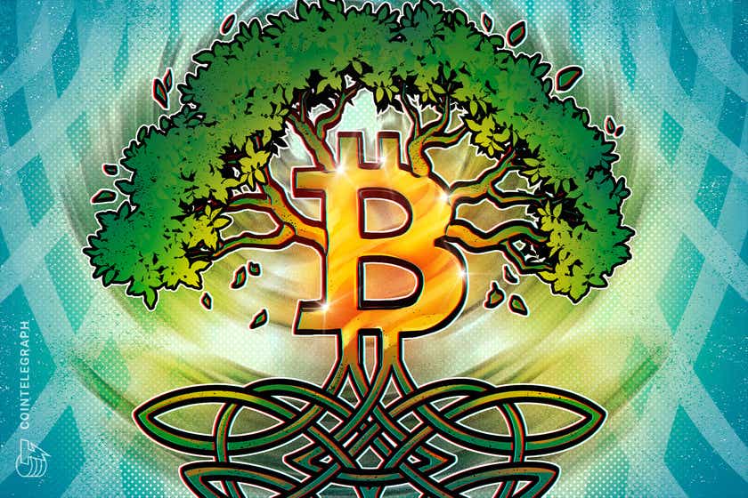To-the-roots-of-mining:-bitcoin-going-green-faster-than-ever