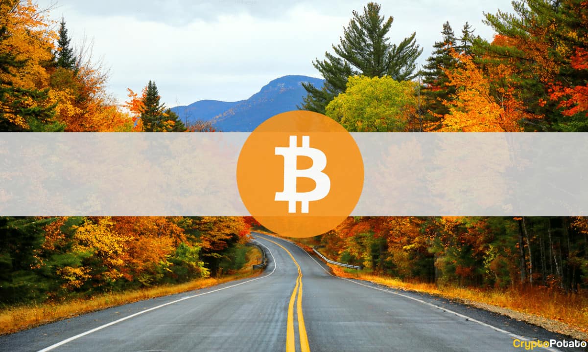 Bulls-eye-november:-historically-the-best-month-for-bitcoin-price