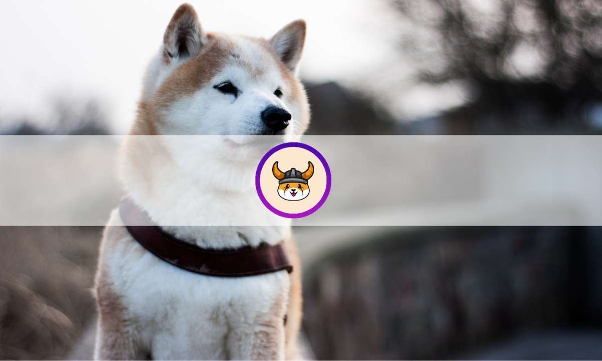 What-is-floki-inu-(floki)?-everything-you-need-to-know-about-the-trending-memecoin