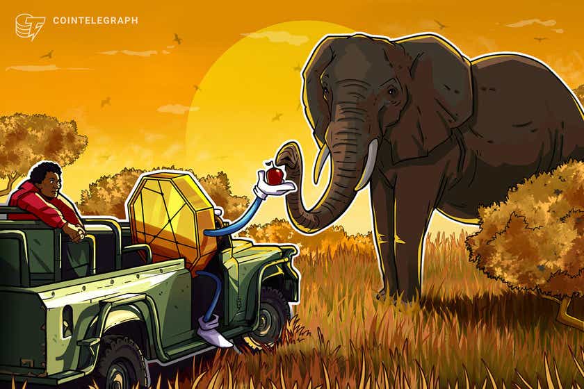 South-africa’s-financial-regulator-plans-to-introduce-framework-aimed-at-protecting-vulnerable-crypto-investors:-report
