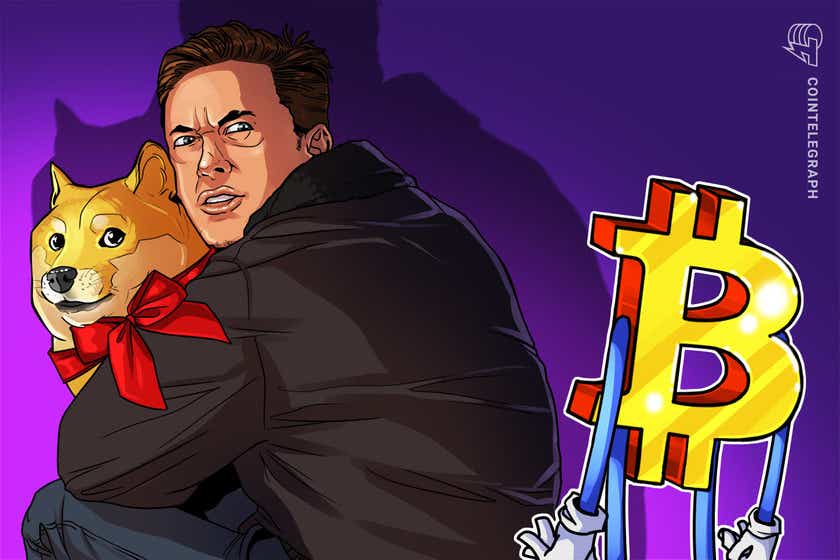 Dogecoin-is-better-than-bitcoin-for-payments,-elon-musk-declares