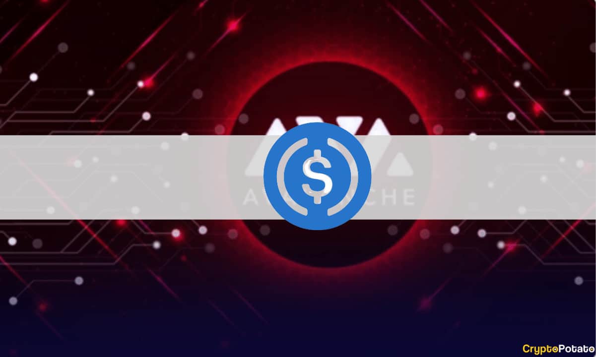 Circle’s-usdc-goes-live-on-avalanche-to-empower-the-defi-ecosystem