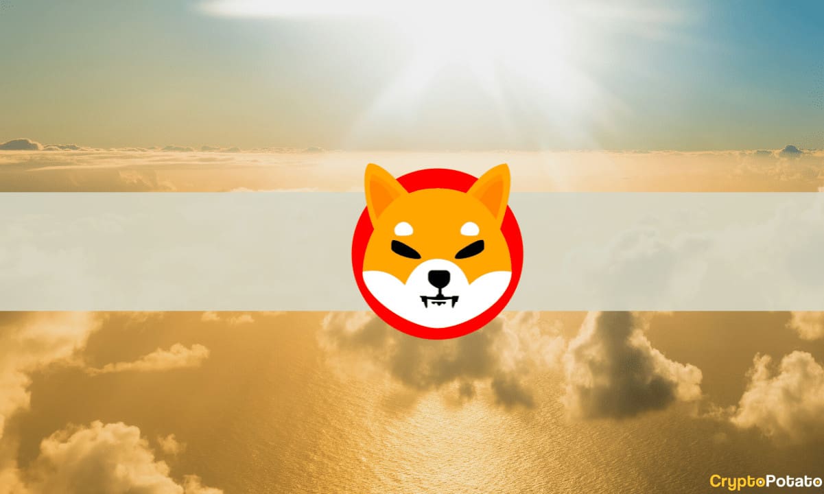 Shiba-inu-was-the-most-popular-crypto-on-coinmarketcap-in-2021,-surpassing-bitcoin-and-dogecoin