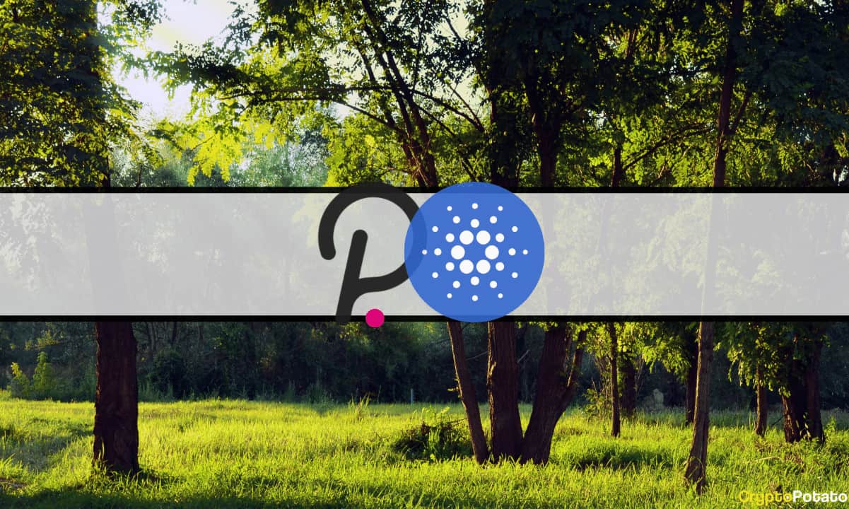 Market-watch:-cardano-and-polkadot-spike-8%-as-bitcoin-maintains-$50k