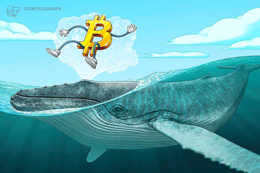 Third-largest-whale-celebrates-bitcoin’s-birthday-with-456-btc-buy