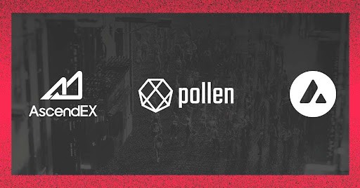Pollen-defi-pln-will-be-the-first-avalanche-token-to-list-on-ascendex