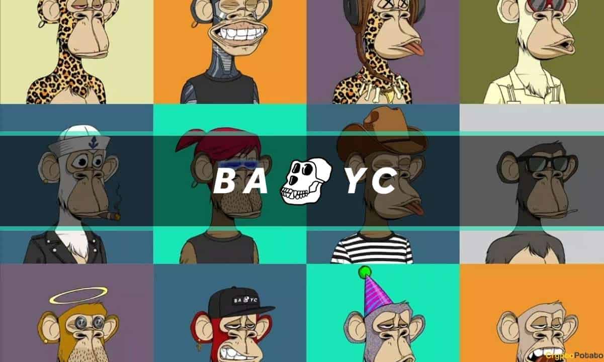The-bored-ape-yacht-club-(bayc)-nft-collection:-everything-you-need-to-know