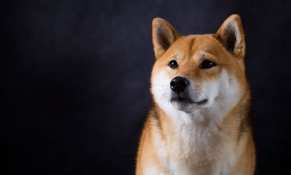 Shiba-inu-team-warned-of-misleading-shib-addresses-on-coinmarketcap